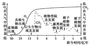 图片_x0020_100006