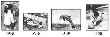 图片_x0020_100005