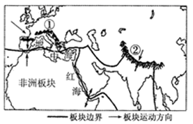图片_x0020_100017