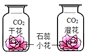 图片_x0020_1431398488