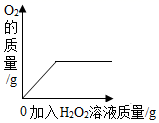 图片_x0020_25336041