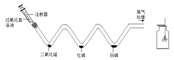 图片_x0020_627067263