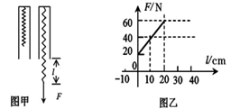 图片_x0020_100016