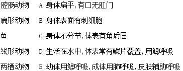 图片_x0020_100008