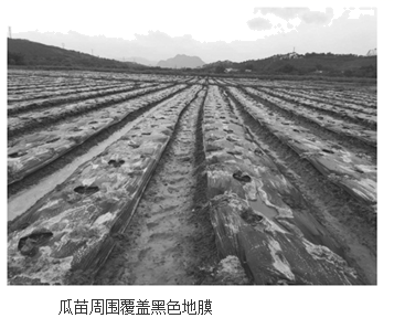 图片_x0020_100001