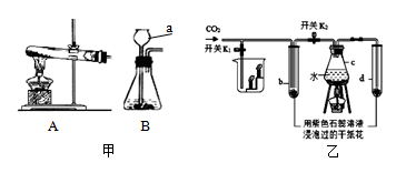 图片_x0020_100026