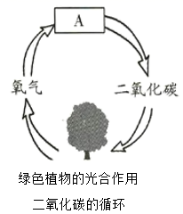 图片_x0020_100008
