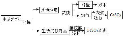图片_x0020_100017