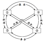 图片_x0020_100013