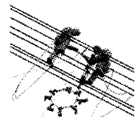图片_x0020_100009