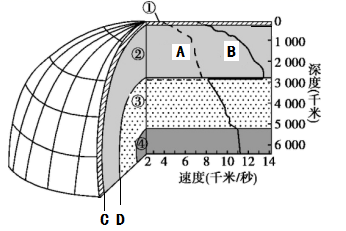 图片_x0020_100019