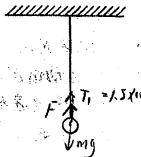 图片_x0020_100017