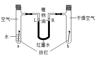 图片_x0020_1293557199