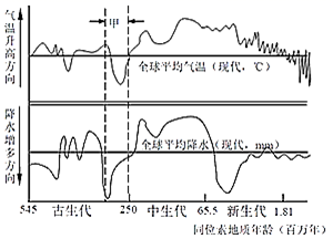 图片_x0020_100011