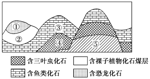 图片_x0020_647931770