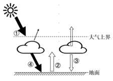 图片_x0020_100004