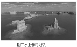 图片_x0020_100006