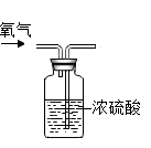图片_x0020_100008