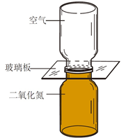 图片_x0020_100015