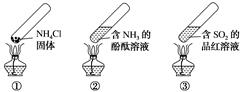 图片_x0020_751960241
