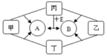 图片_x0020_100011
