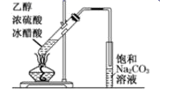 图片_x0020_100004
