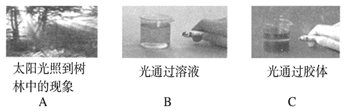 图片_x0020_100002