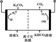 图片_x0020_483902092