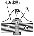 图片_x0020_892663429