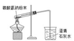 图片_x0020_100002