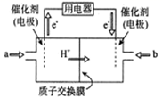图片_x0020_1100010013