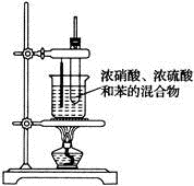 图片_x0020_100025