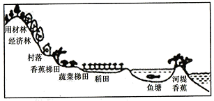 图片_x0020_294148253