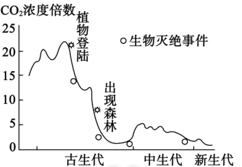 图片_x0020_100011