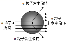 图片_x0020_726441137