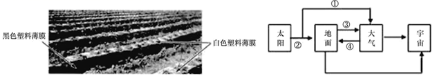图片_x0020_100002