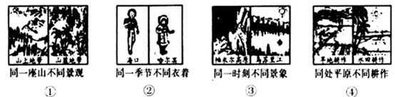 图片_x0020_100001
