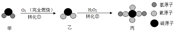图片_x0020_100002