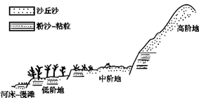 图片_x0020_100005