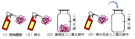图片_x0020_100015