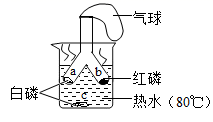 图片_x0020_933175673