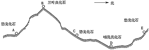 图片_x0020_100018
