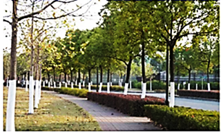 图片_x0020_100001