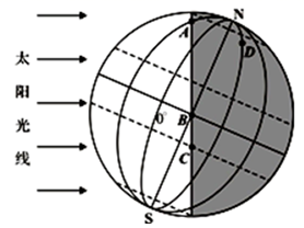 图片_x0020_100003