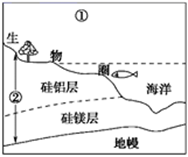 图片_x0020_100009