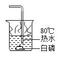 图片_x0020_1233676073