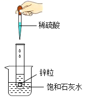 图片_x0020_100010