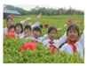 图片_x0020_100001