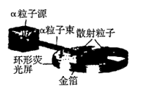 图片_x0020_100006