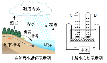 图片_x0020_264967335